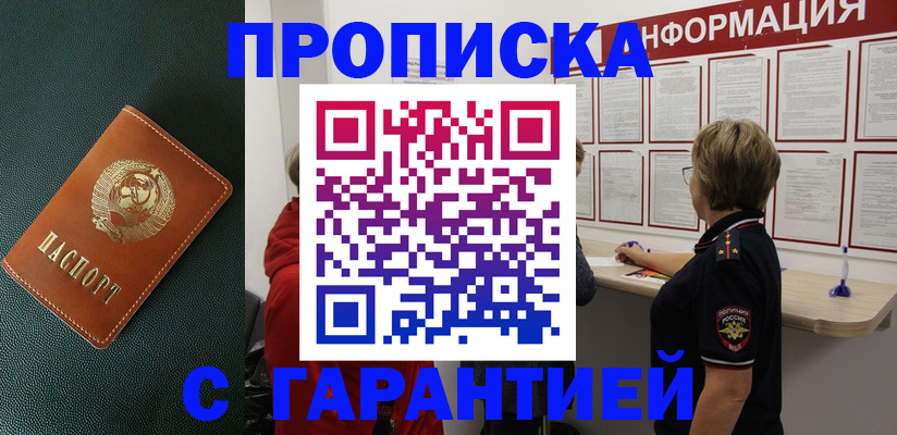 временная регистрация госуслуги в Барыше